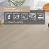 Ламинат Lamiwood Select 8 мм 816 Дуб Ванильный №6