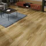 Каменный SPC ламинат Tulesna Ottimo Costante 1004-5 №3
