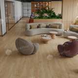 SPC ламинат Alpine Floor Grand Sequoia 5 мм ECO 11-508 МС Камфора №3