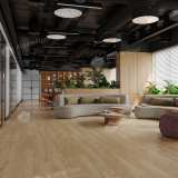 SPC ламинат Alpine Floor Grand Sequoia 5 мм ECO 11-508 МС Камфора №2
