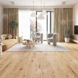 Каменно-полимерная плитка SPC Alpine Floor Pro Nature 62537 Barranquilla