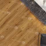 Каменно-полимерная плитка SPC Alpine Floor Pro Nature 62544 Andes №3