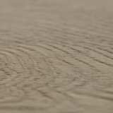 Кварцвиниловый ламинат Art East Art Stone Force ASF 50-03 Дуб Веста №6