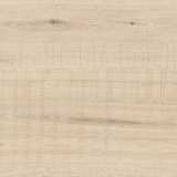 Керамогранит Buono Ceramica F4503M Forest Crema Matt №2