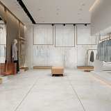 Керамогранит NT Ceramic Atlas Wide NTT3019P Li Susu Dragon