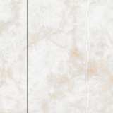 Керамогранит NT Ceramic Atlas Wide NTT3019P Li Susu Dragon №3