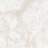 Керамогранит NT Ceramic Atlas Wide NTT3019P Li Susu Dragon №2