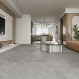 Керамогранит NT Ceramic Granite NTT99617M Limestone Grey Structura