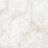 Керамогранит NT Ceramic Atlas Wide NTT3019P (B) Li Susu Dragon