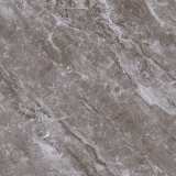 Керамогранит Primavera Хасия 60x60 см (TP66M21) №3