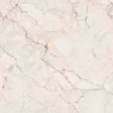 Керамогранит Primavera Elise Beige 60x60 см (CR110) №3