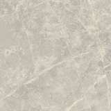 Керамогранит Primavera Mizar Light Grey 60x60 см (NR102) №2