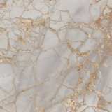 Керамогранит Primavera Golden Grey 60x120 см (PR212) №3