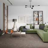 SPC ламинат Damy Floor Ascent Strong Макалу/Makalu LQ8132-2-ST №6