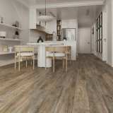 SPC ламинат Evofloor Home L-20246 Дуб Пепельный №2