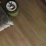 Ламинат My Step Fortis XL Дуб Этери MS7412 №2