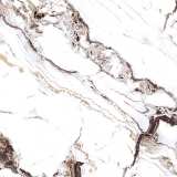 Керамогранит Primavera Тянь-Шань Тайшань TP66M14 №4