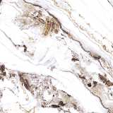 Керамогранит Primavera Тянь-Шань Тайшань TP66M14 №3