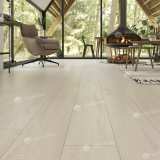 Кварцвиниловая плитка ПВХ Alpine Floor Easy Line ECO 3-14 Дуб снежный №2