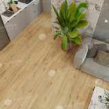 Каменно-полимерная плитка SPC Alpine Floor Pro Nature 61874 Flushing Bay №3