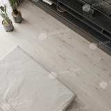 Каменно-полимерная плитка SPC Alpine Floor Pro Nature 62478 Newtown Creek №4