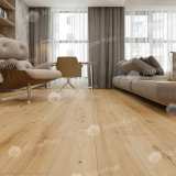 Каменно-полимерная плитка SPC Alpine Floor Pro Nature 62539 Miranda №3