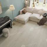 Кварцвиниловая плитка SPC Alpine Floor Solo Plus ECO 14-1101 Модерато №2