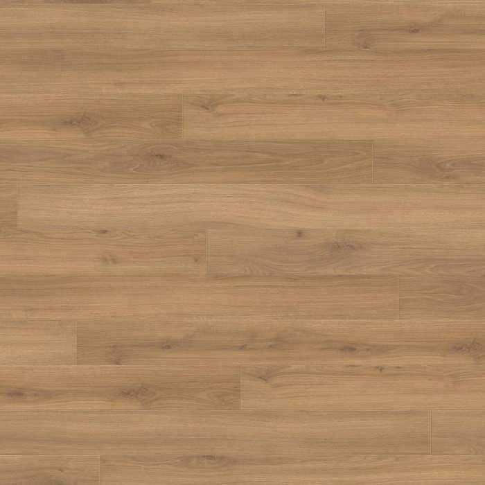 Ламинат Haro Tritty 100 Loft 4V Дуб Эмилия Медовый 538720
