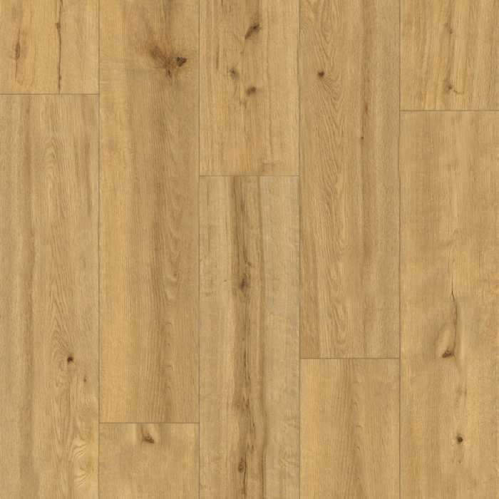 Каменно-полимерная плитка SPC Alpine Floor Pro Nature 62541 Soacha №4