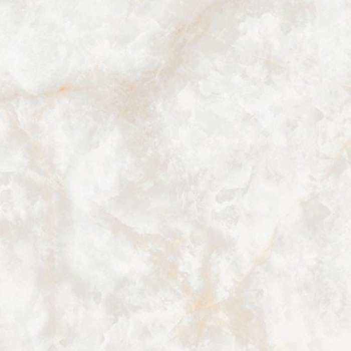 Керамогранит NT Ceramic Atlas Wide NTT3019P Li Susu Dragon №2