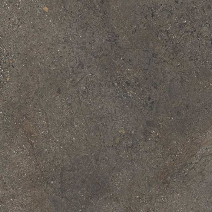 Керамогранит NT Ceramic NTTHS99806D Axion Cold Saturn №3