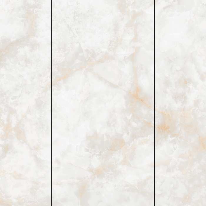 Керамогранит NT Ceramic Atlas Wide NTT3019P (B) Li Susu Dragon