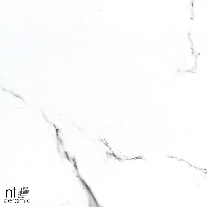 Керамогранит NT Ceramic Bright and Shiny BB6NTT9100P