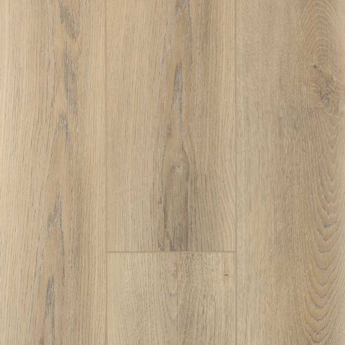 Кварцвиниловый SPC ламинат Firstfloor Белый дикий лес 1F001