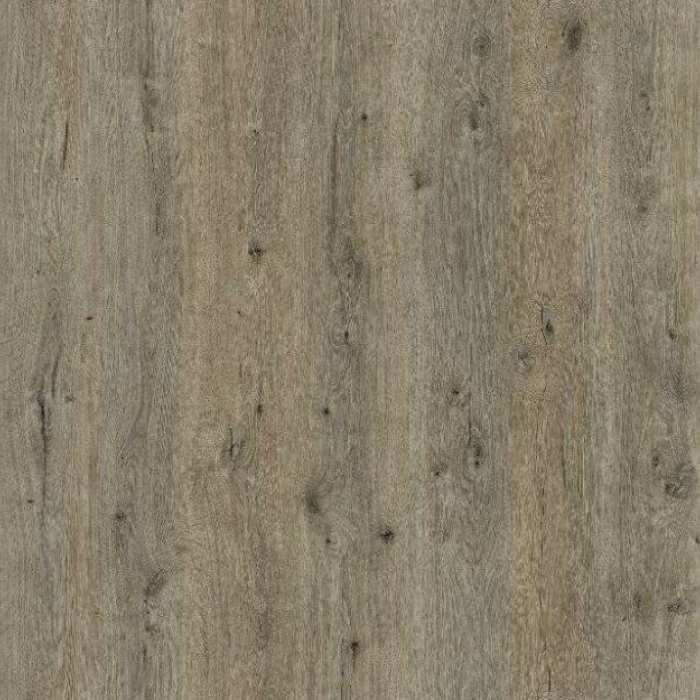 Изображение Ламинат Kastamonu Sunfloor 8/32 0V Дуб Античный