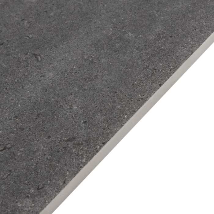 Керамогранит Primavera Nemo Dark Grey NR214 №2