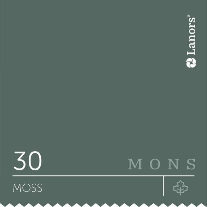 Изображение Краска Lanors mons Времена Года: Осень Moss — Мох Mons Interior 3% Блеска