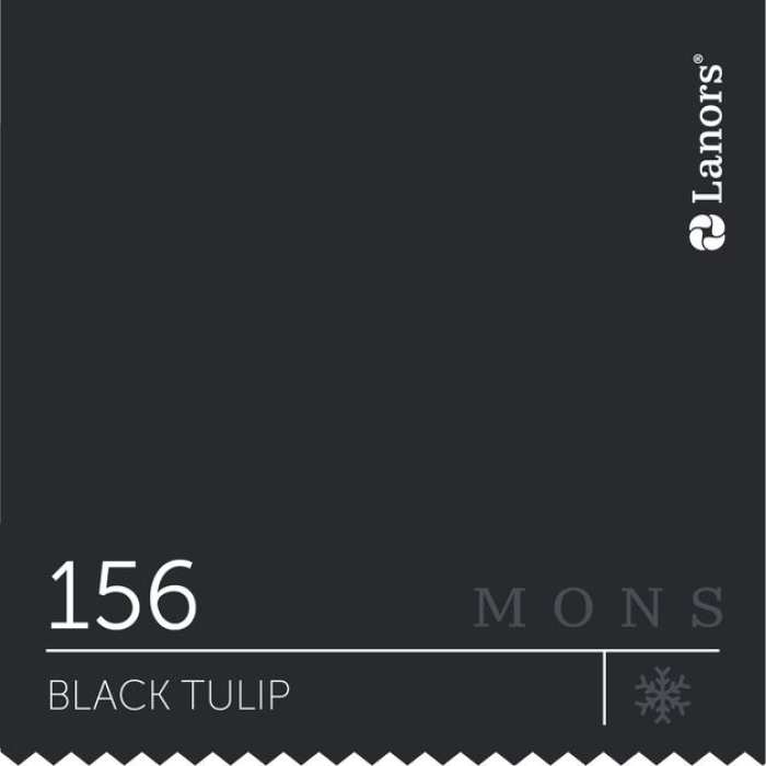 Изображение Краска Lanors mons Времена Года: Зима Black Tulip — Черный Тюльпан Mons Exterior 5% Блеска