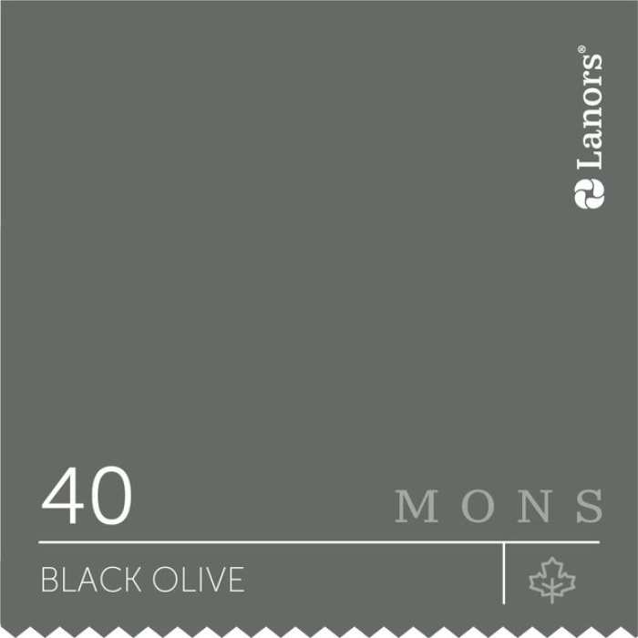 Изображение Краска Lanors mons Времена Года: Осень Black Olive — Маслина Mons Exterior 5% Блеска