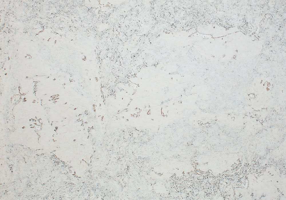 Настенная пробка Wicanders Dekwall Flores White Waxed RY07001