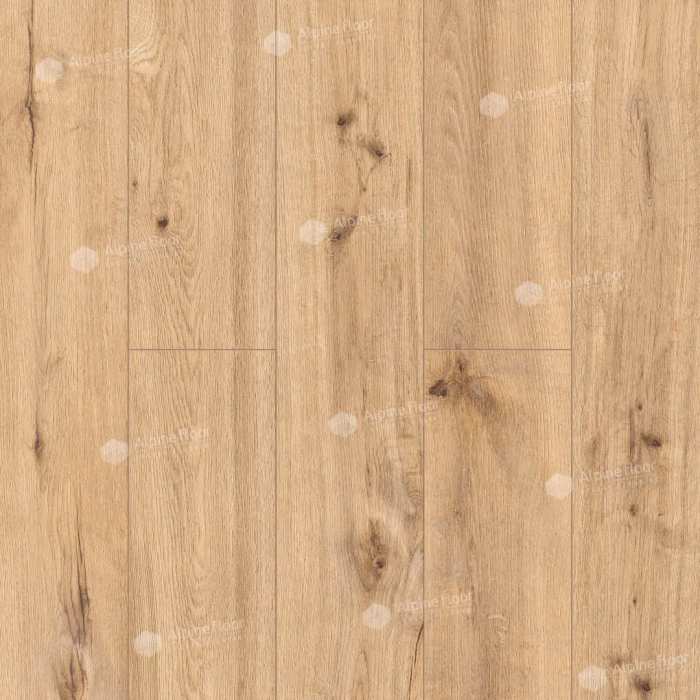 Каменно-полимерная плитка SPC Alpine Floor Pro Nature 64634 Oak Poprad №2