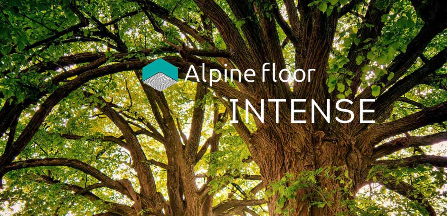 Изображение Акция на новую коллекцию Alpine Floor INTENSE